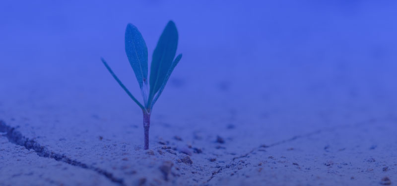 Total Energy Ventures est un fonds de capital investissement dédié aux startups innovantes œuvrant dans le domaine énergétique et environnemental.